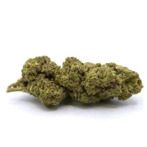 cbd amnesia california