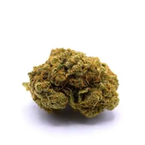 cbd jack herer