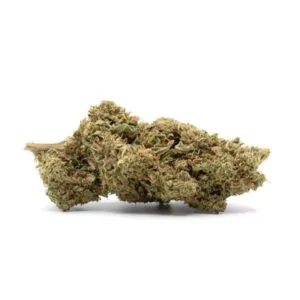 cbd orange bud