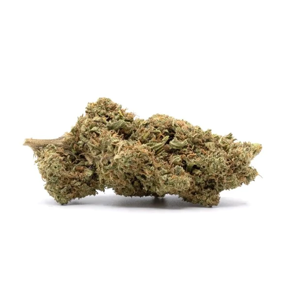 cbd orange bud